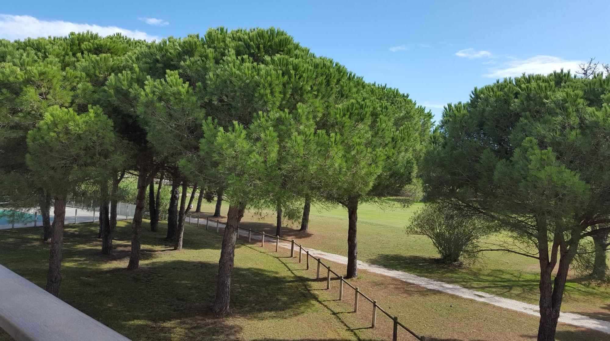 Vert Paradis - Vue Apaisante Sur Golf, Pins Parasols, 2E Etage - 80 M2 Dont Terrasse Avec Pergola, 2 Chambres, 3Et Iles, 3 Clim, Wifi - Piscine, Parking Et Park A Velos, Ascenseur - En Option Linge, Menage - Pistes Cyclables, Mer A Proximite Сен-Сіпріян Екстер'єр фото